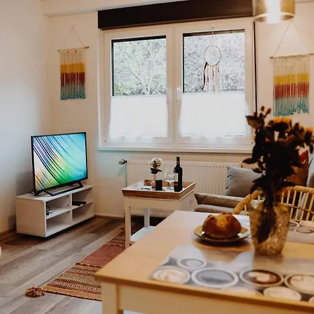 Daire Muelheim, Schoenes Apartment, E-werk, Palladium, Carlswerk, Messe, Lanxess-arena *