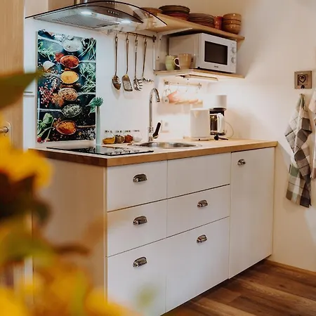 Mülheim, Schönes Apartment, E-werk, Palladium, Carlswerk, Messe, Lanxess-arena * Colonia